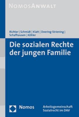 Cover-Bild Die sozialen Rechte der jungen Familie