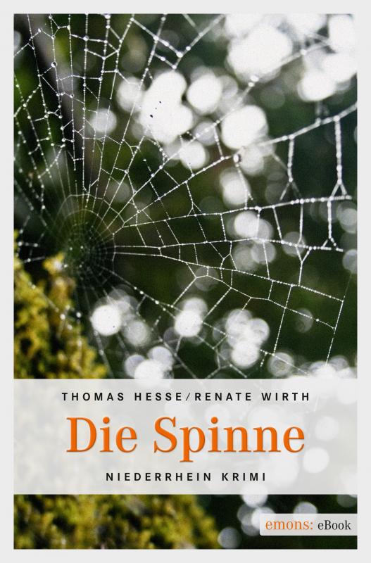 Cover-Bild Die Spinne