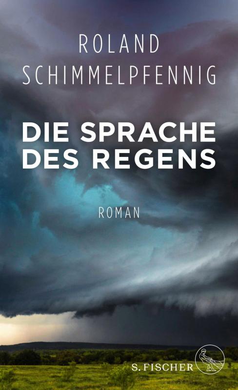 Cover-Bild Die Sprache des Regens