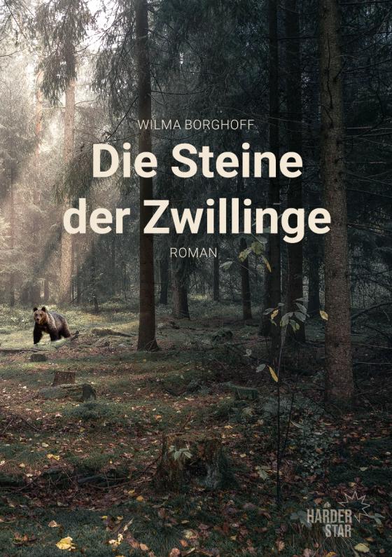 Cover-Bild Die Steine der Zwillinge