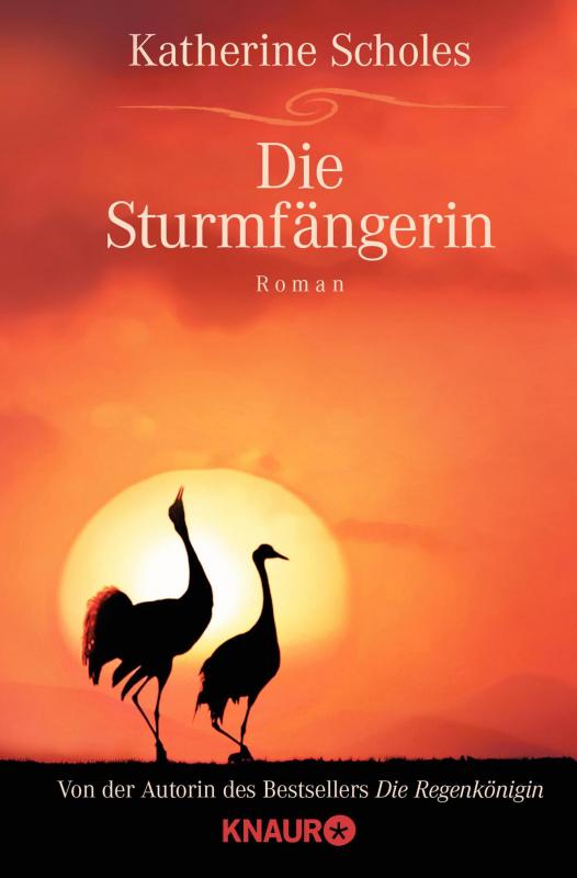 Cover-Bild Die Sturmfängerin