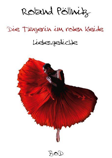 Cover-Bild Die Tänzerin im roten Kleide