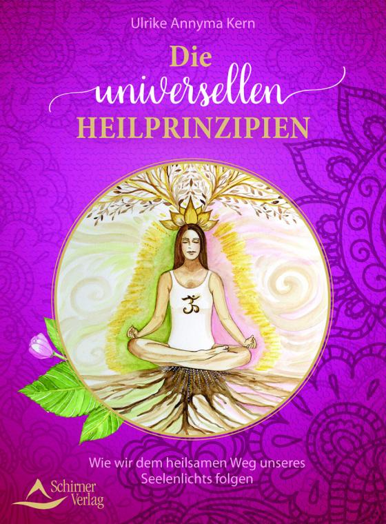 Cover-Bild Die universellen Heilprinzipien