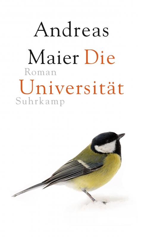 Cover-Bild Die Universität