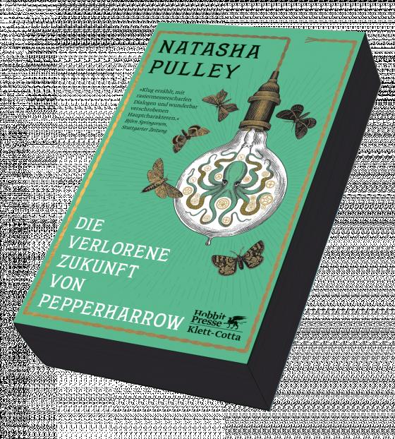 Cover-Bild Die verlorene Zukunft von Pepperharrow