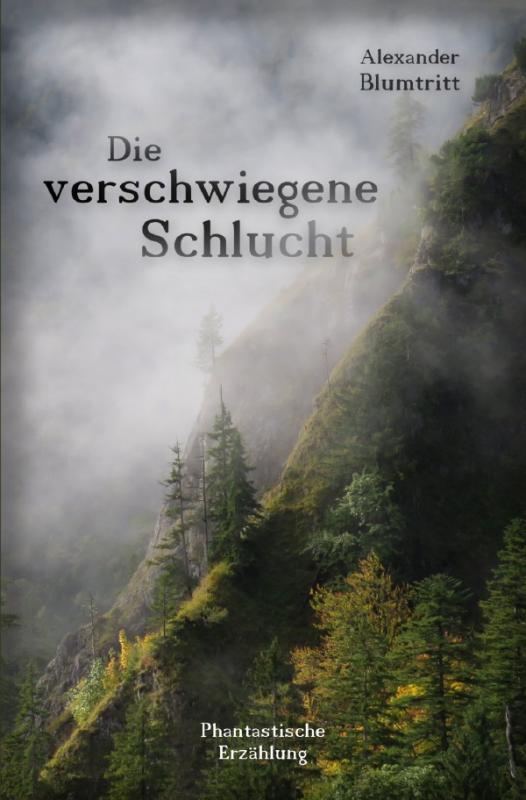 Cover-Bild Die verschwiegene Schlucht