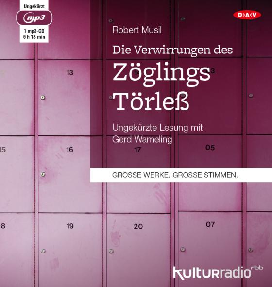 Cover-Bild Die Verwirrungen des Zöglings Törleß