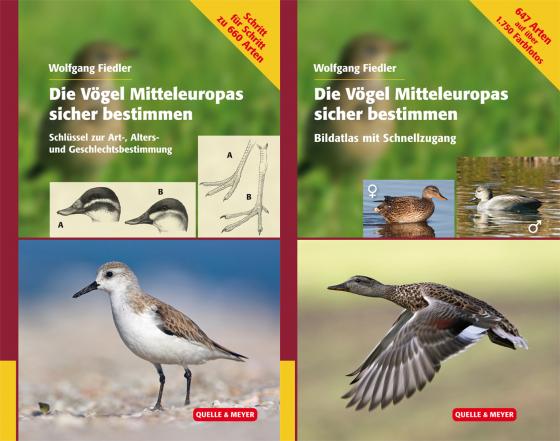 Cover-Bild Die Vögel Mitteleuropas sicher bestimmen