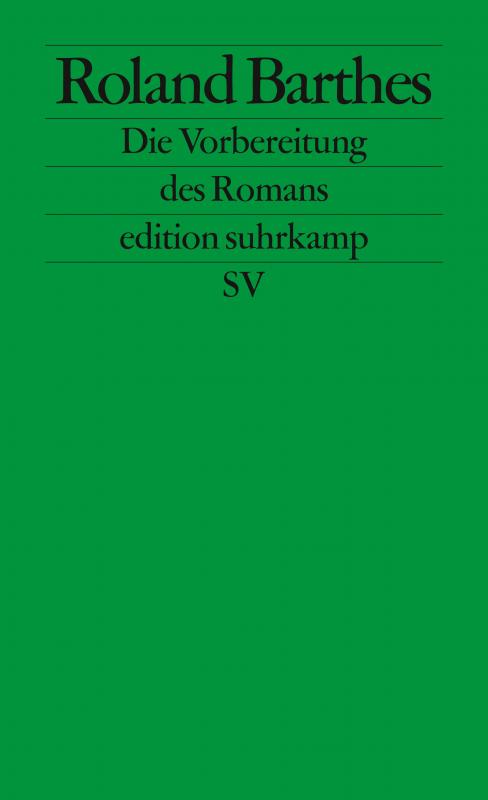 Cover-Bild Die Vorbereitung des Romans