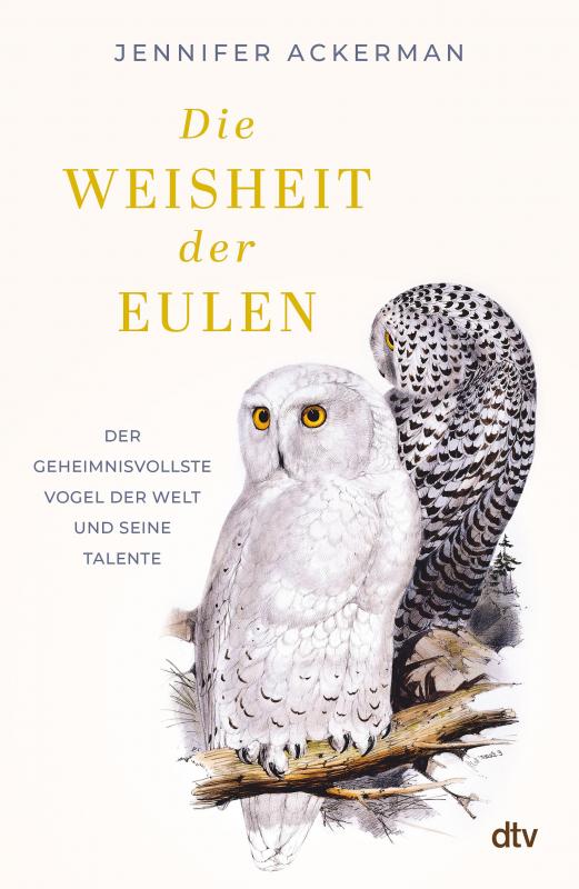 Cover-Bild Die Weisheit der Eulen