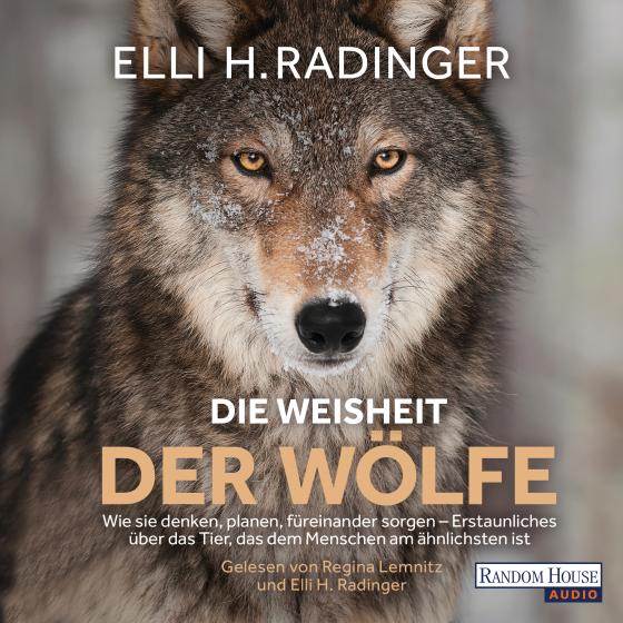 Cover-Bild Die Weisheit der Wölfe