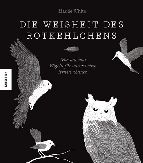 Cover-Bild Die Weisheit des Rotkehlchens