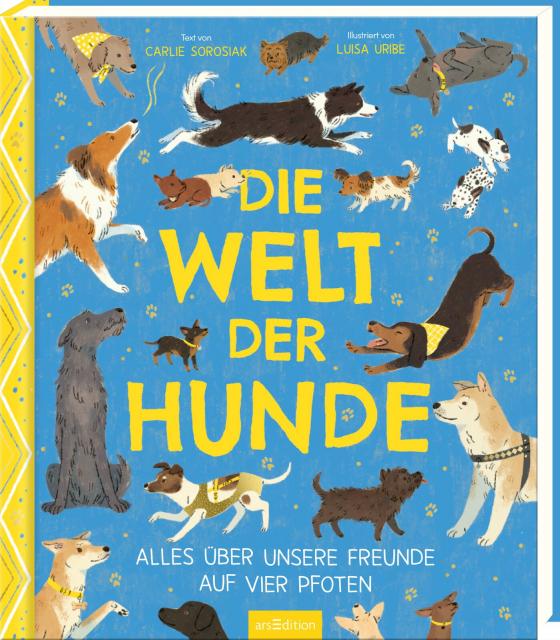 Cover-Bild Die Welt der Hunde