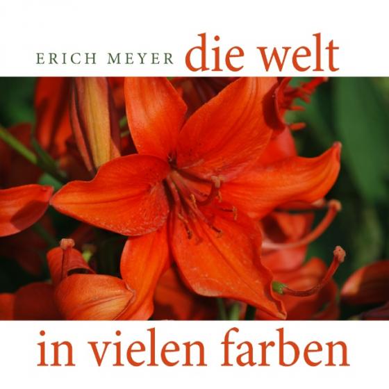 Cover-Bild Die Welt in vielen Farben