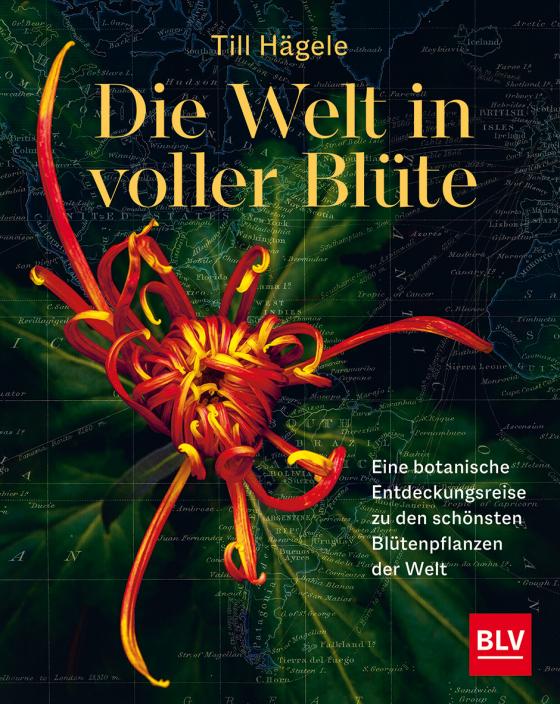 Cover-Bild Die Welt in voller Blüte: Eine botanische Entdeckungsreise zu den schönsten Blütenpflanzen der Welt