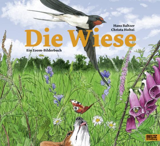 Cover-Bild Die Wiese