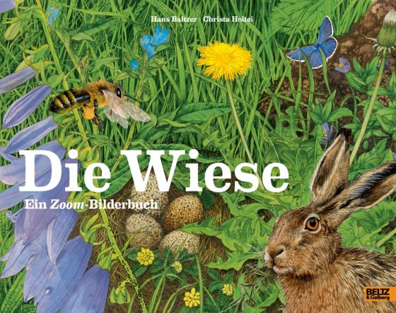 Cover-Bild Die Wiese