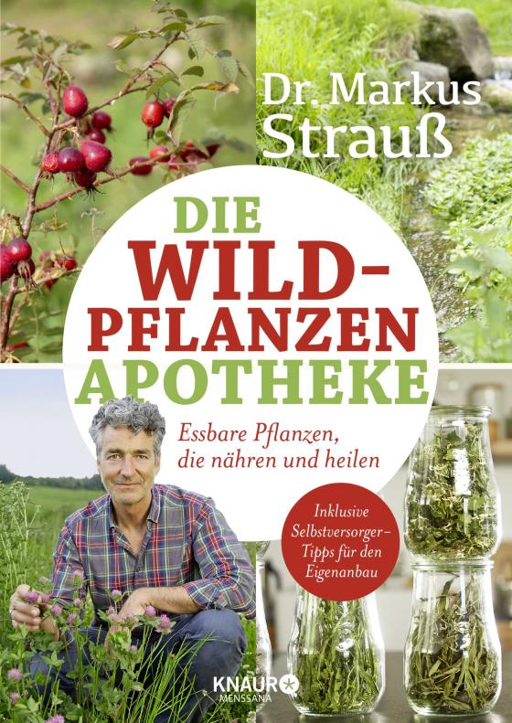 Cover-Bild Die Wildpflanzen-Apotheke