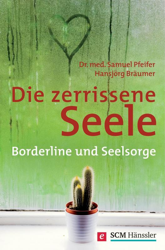 Cover-Bild Die zerrissene Seele