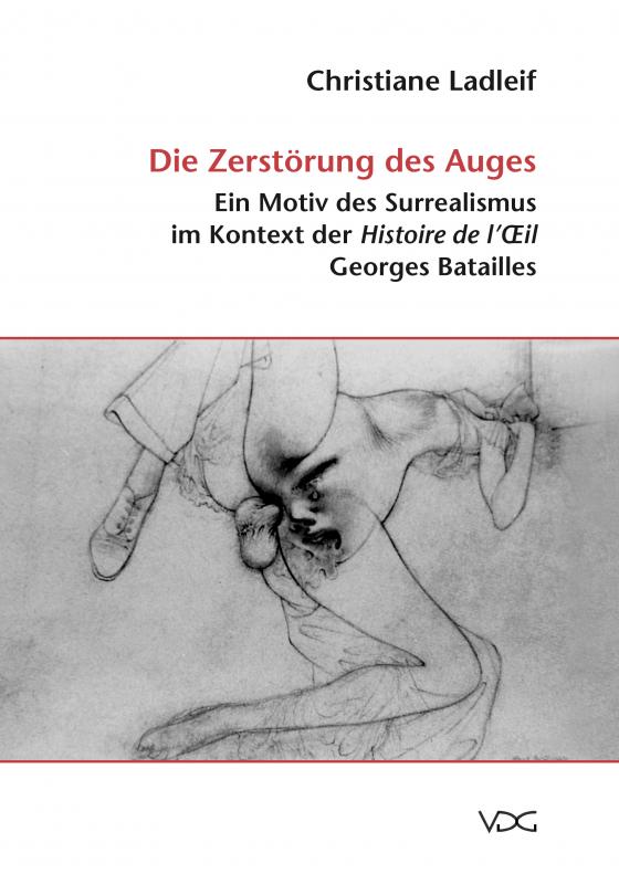 Cover-Bild Die Zerstörung des Auges