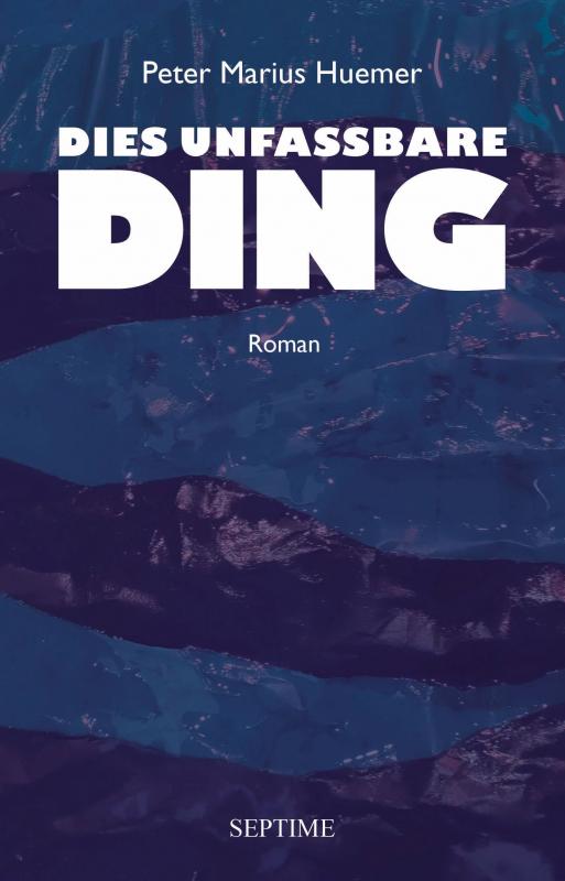 Cover-Bild Dies unfassbare Ding