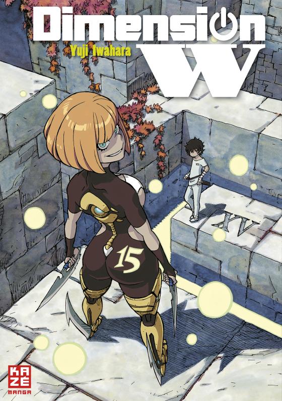 Cover-Bild Dimension W 15