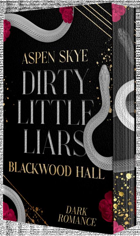 Cover-Bild Dirty Little Liars