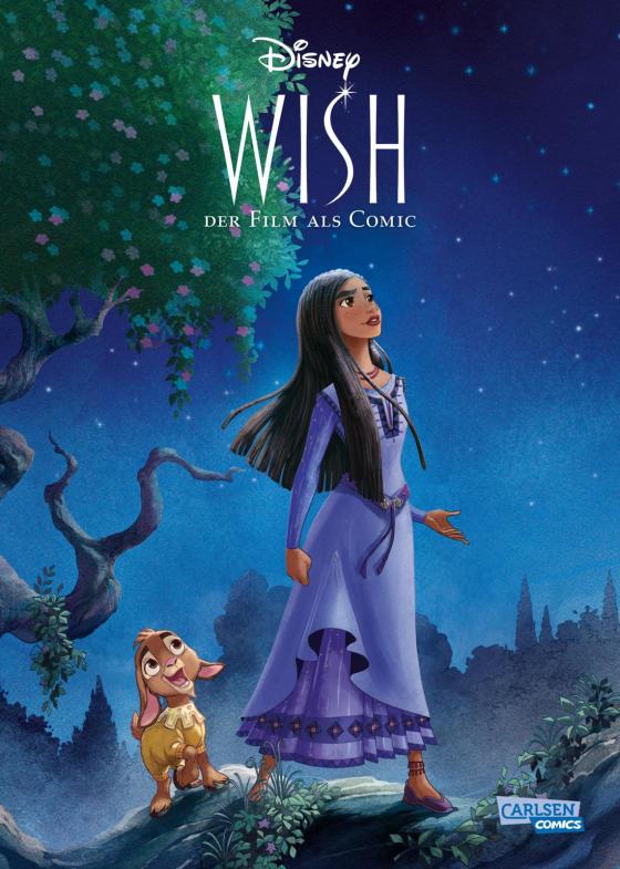 Cover-Bild Disney Filmcomics 4: Wish