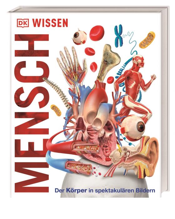 Cover-Bild DK Wissen. Mensch