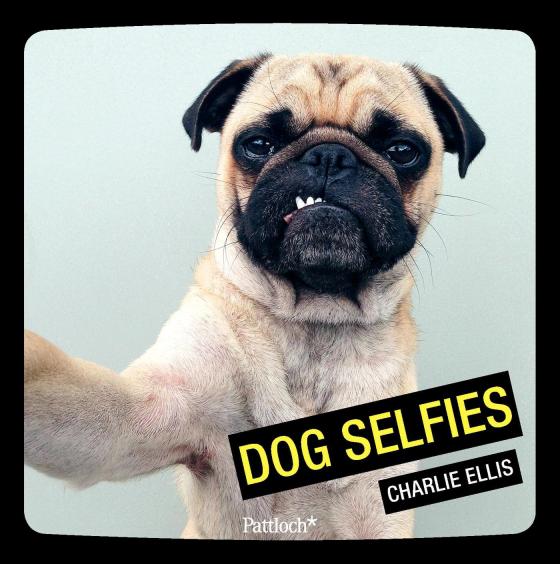 Cover-Bild Dog Selfies