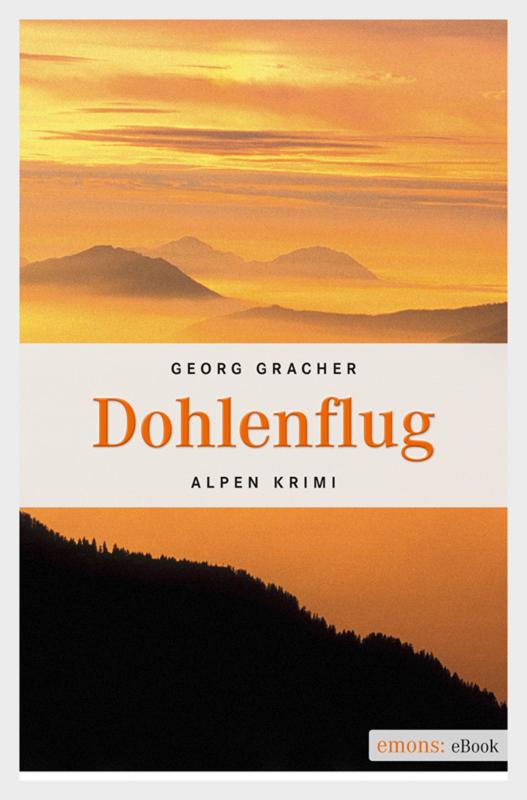 Cover-Bild Dohlenflug