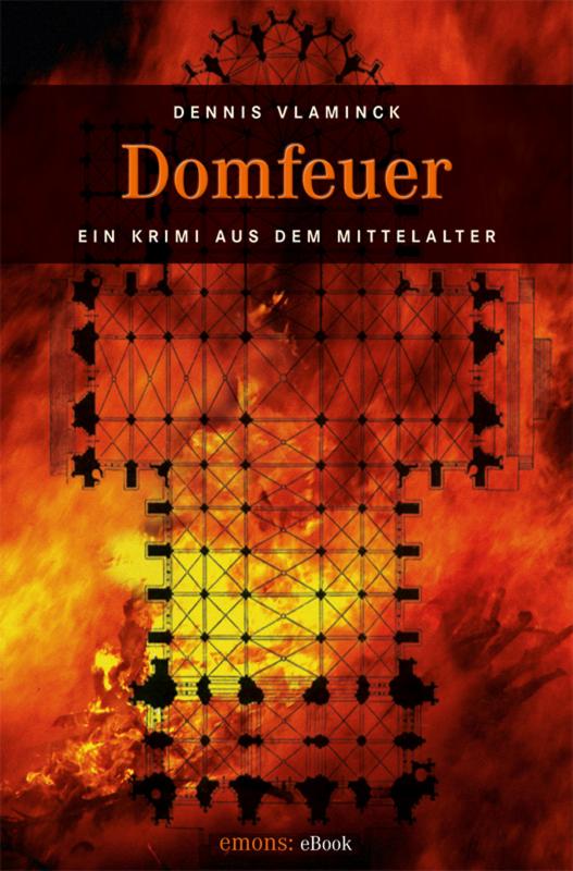 Cover-Bild Domfeuer