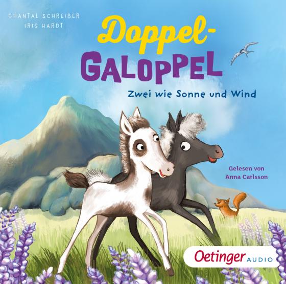 Cover-Bild Doppel-Galoppel 1. Zwei wie Sonne und Wind