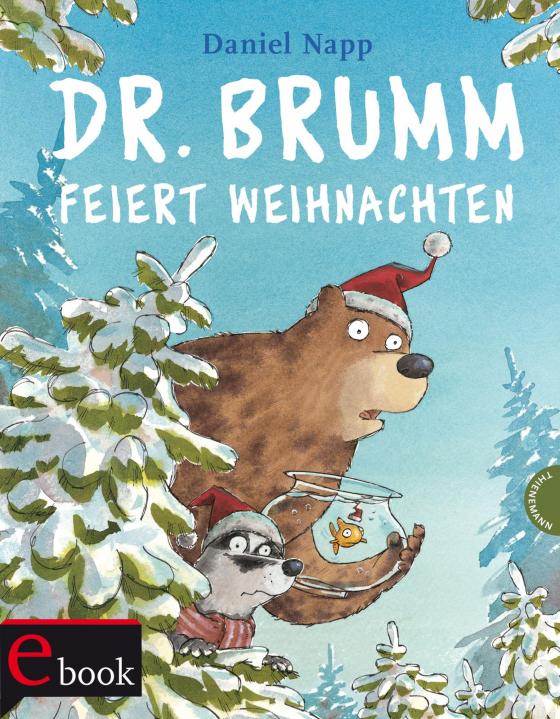 Cover-Bild Dr. Brumm feiert Weihnachten