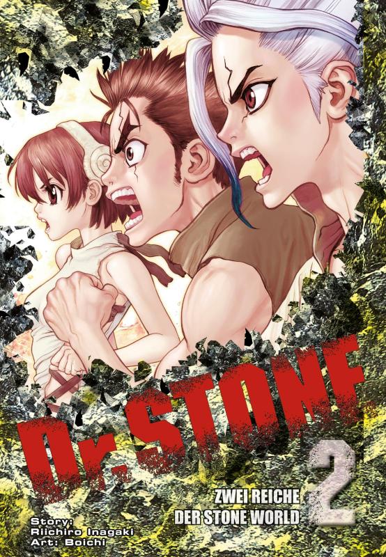 Cover-Bild Dr. Stone 2