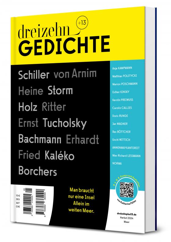 Cover-Bild dreizehn +13 Gedichte