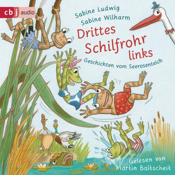 Cover-Bild Drittes Schilfrohr links - Geschichten vom Seerosenteich
