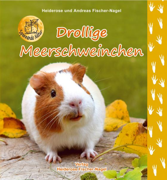 Cover-Bild Drollige Meerschweinchen