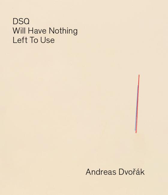 Cover-Bild DSQ — Will Have Nothing Left To Use