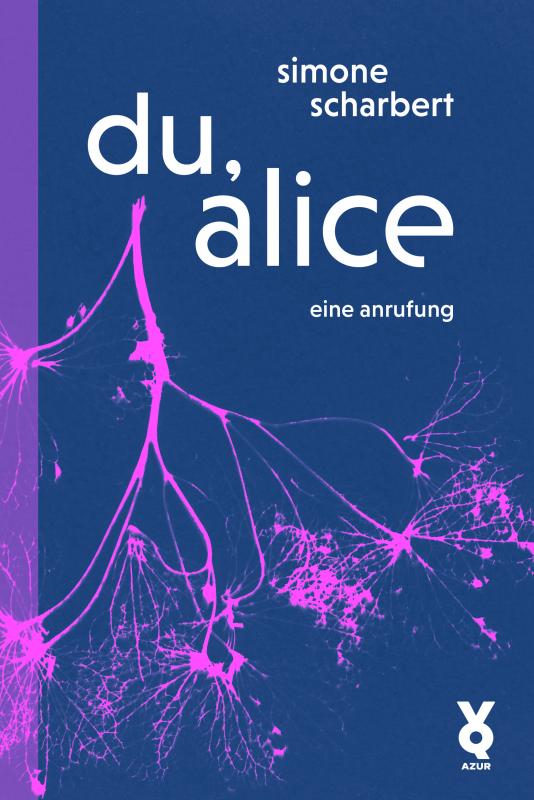 Cover-Bild du, alice