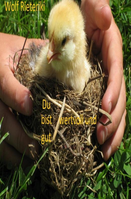 Cover-Bild Du bist wertvoll und gut