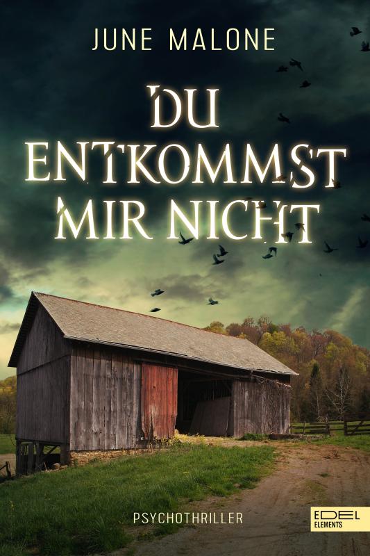 Cover-Bild Du entkommst mir nicht