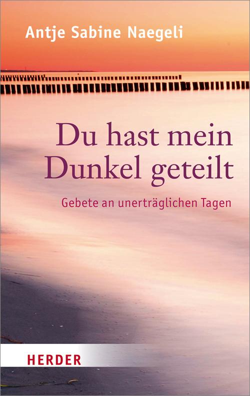 Cover-Bild Du hast mein Dunkel geteilt