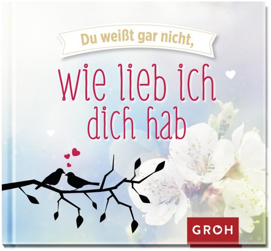 Cover-Bild Du weißt gar nicht, wie lieb ich dich hab