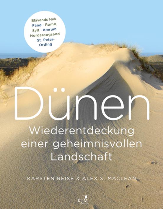 Cover-Bild Dünen. Die Wiederentdeckung einer geheimnisvollen Landschaft