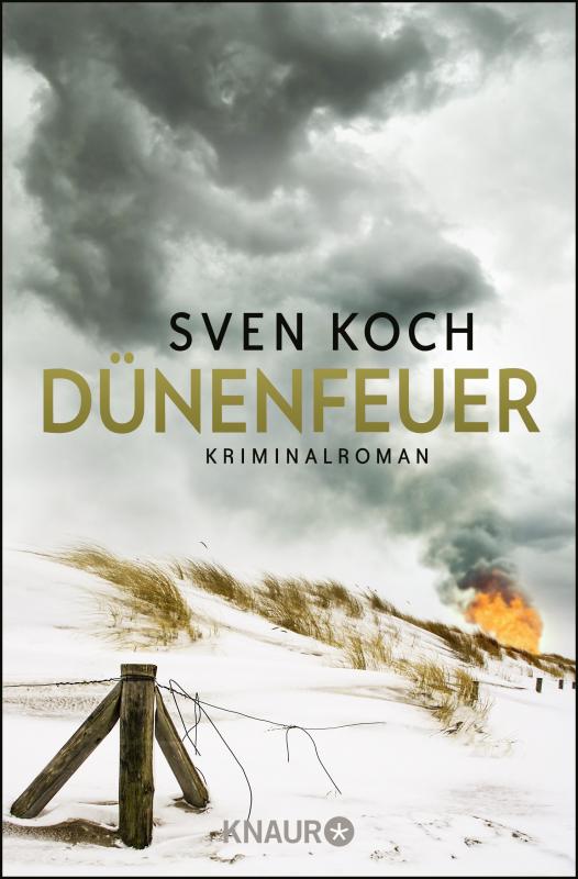 Cover-Bild Dünenfeuer