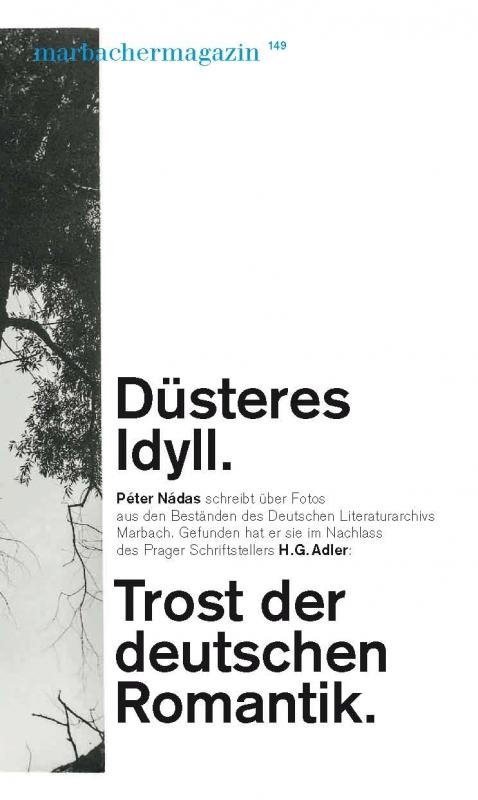 Cover-Bild Düsteres Idyll