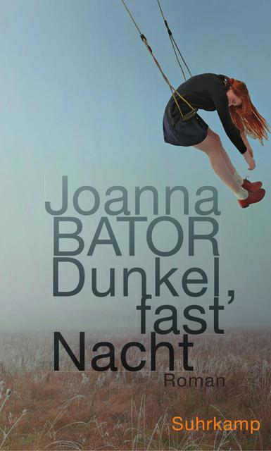 Cover-Bild Dunkel, fast Nacht