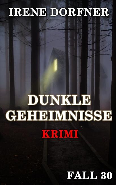 Cover-Bild Dunkle Geheimnisse