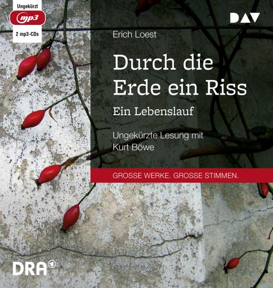 Cover-Bild Durch die Erde ein Riss – Ein Lebenslauf